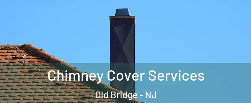  Chimney Cover Services Old Bridge - NJ