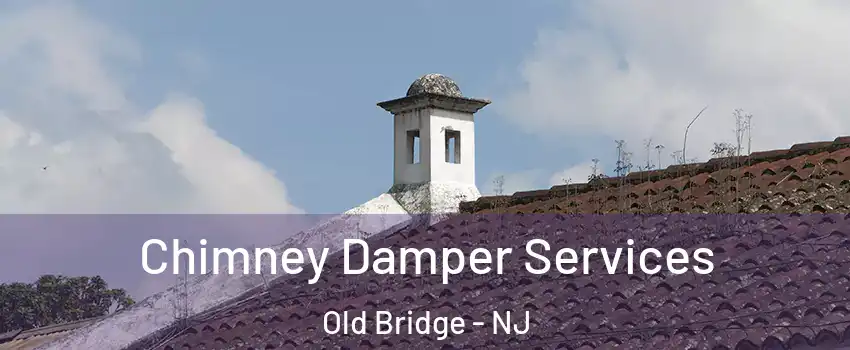  Chimney Damper Services Old Bridge - NJ