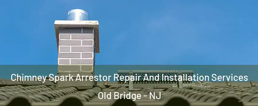  Chimney Spark Arrestor Repair And Installation Services Old Bridge - NJ
