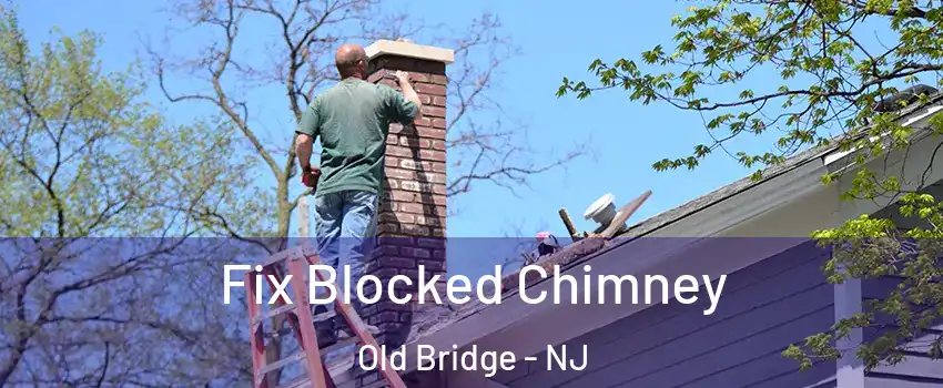  Fix Blocked Chimney Old Bridge - NJ