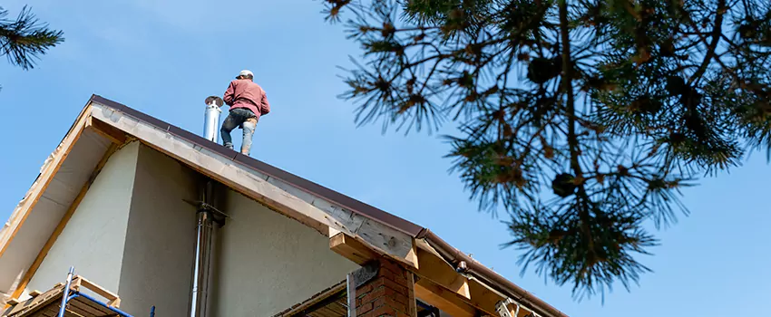 Birds Removal Contractors from Chimney in Old Bridge, NJ