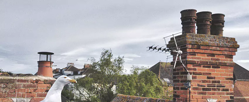 Chimney Cleaning And Restoration in Old Bridge, New Jersey