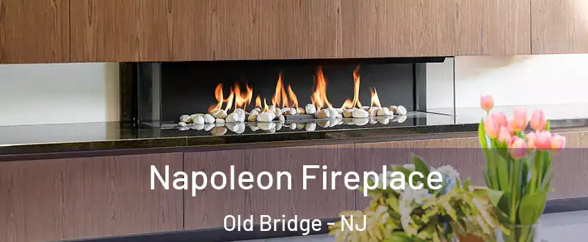  Napoleon Fireplace Old Bridge - NJ